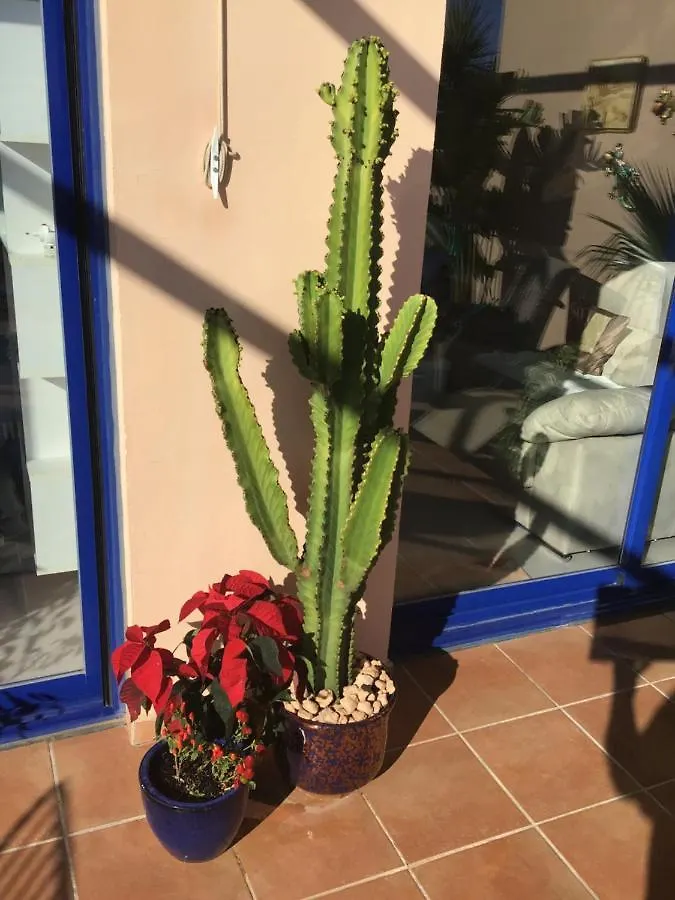 Atalaya Dreams Apartment Mojacar 0*,  Spain